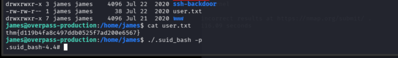 .suid_bash -p executed, dropping to a root shell